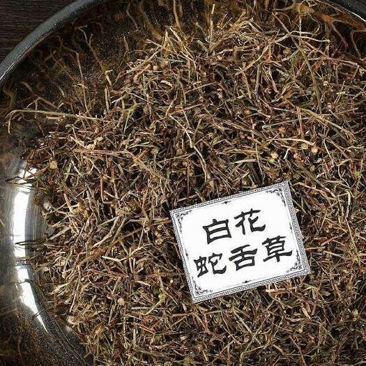 沭阳县百花蛇舌草  干 百花蛇舌草中药材植物