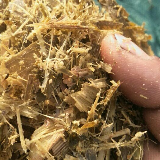惠民县牛羊饲料   牧草