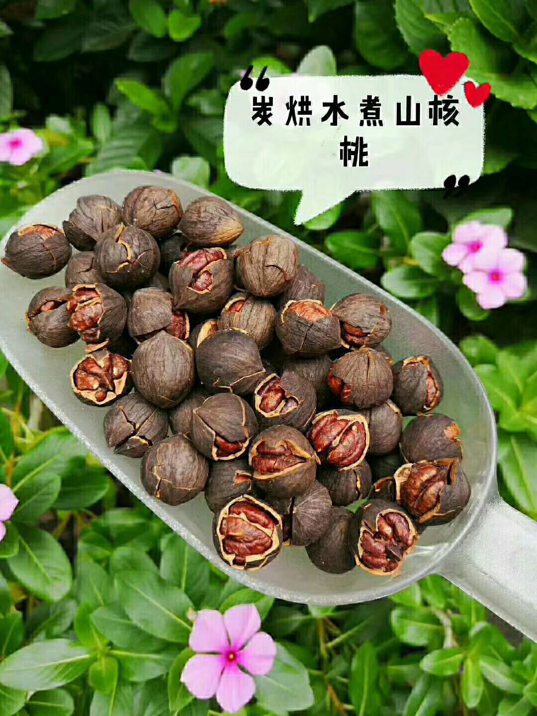 临安小核桃 
