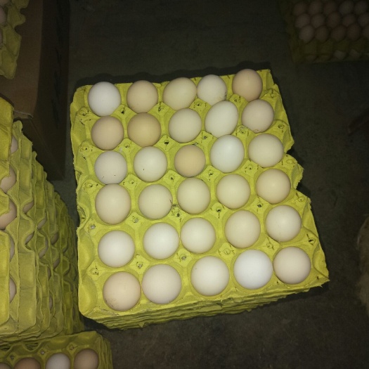 沙河市粉蛋 食用 箱装 