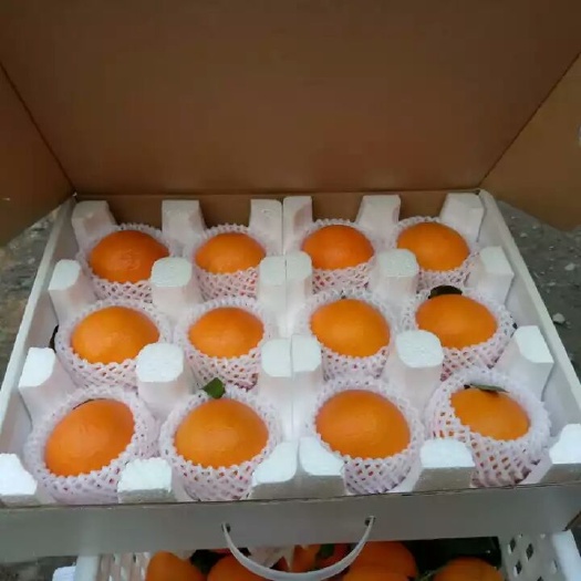 金堂县耙耙柑  大雅1号泡沫柑橘专用箱货箱共9.斤