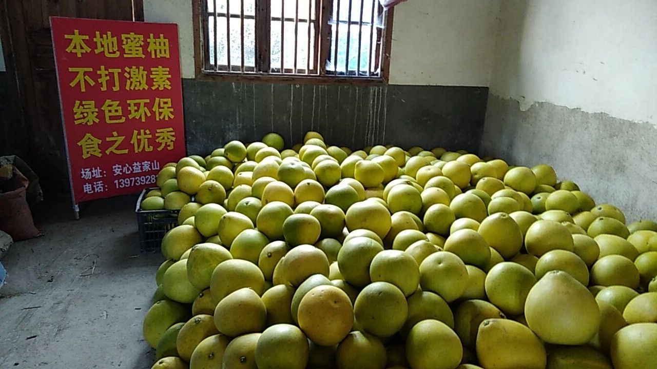 琯溪蜜柚 三斤以上 酸甜可口