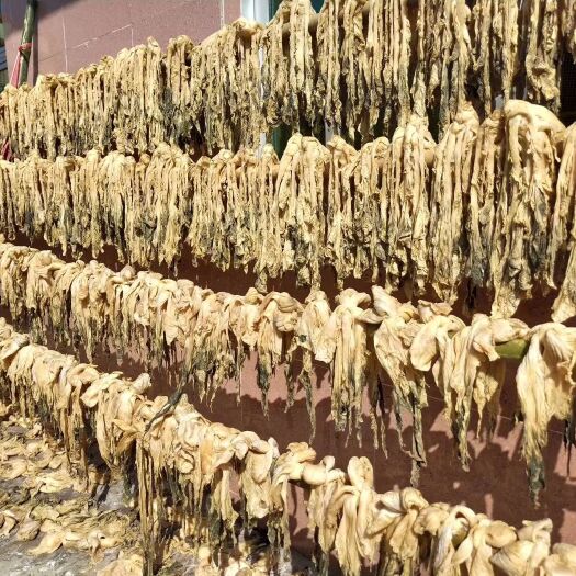 博罗县梅菜 6-12个月 
