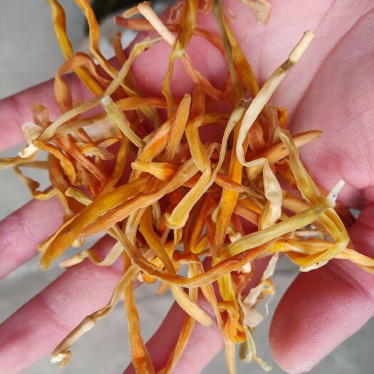 平舆县干黄花菜 24个月以上 