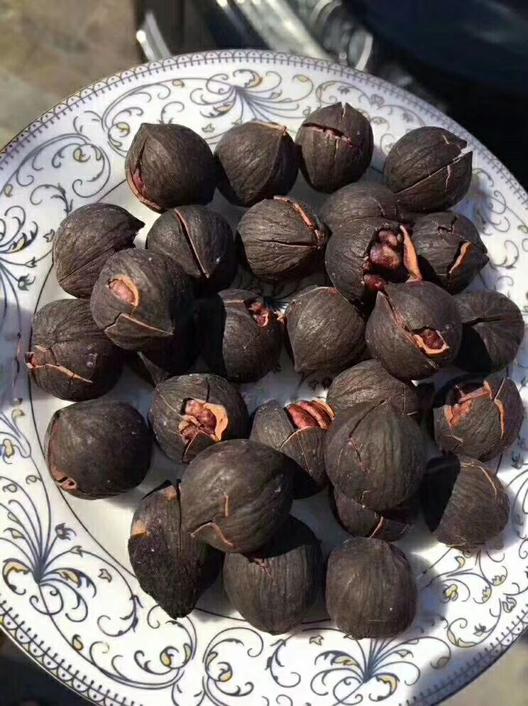 临安小核桃 