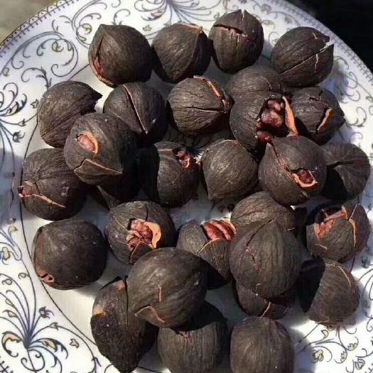 杭州临安小核桃 