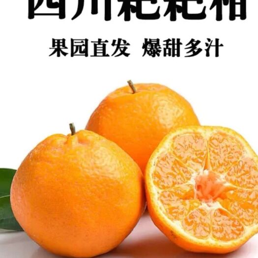 眉山耙耙柑 6 - 6.5cm 5两以上 