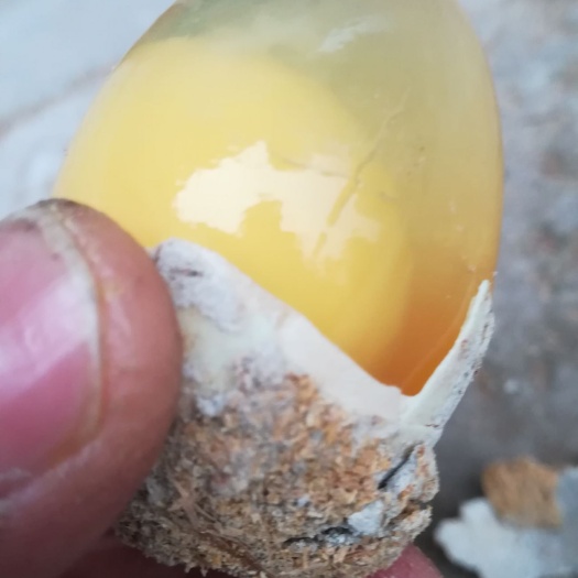 三台县无铅皮蛋 
