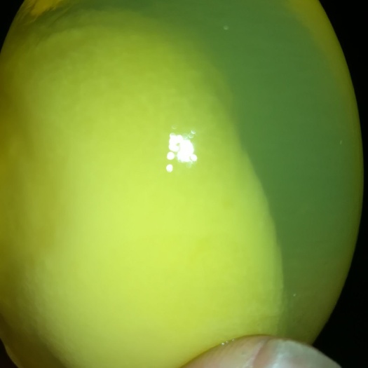 三台县无铅皮蛋 