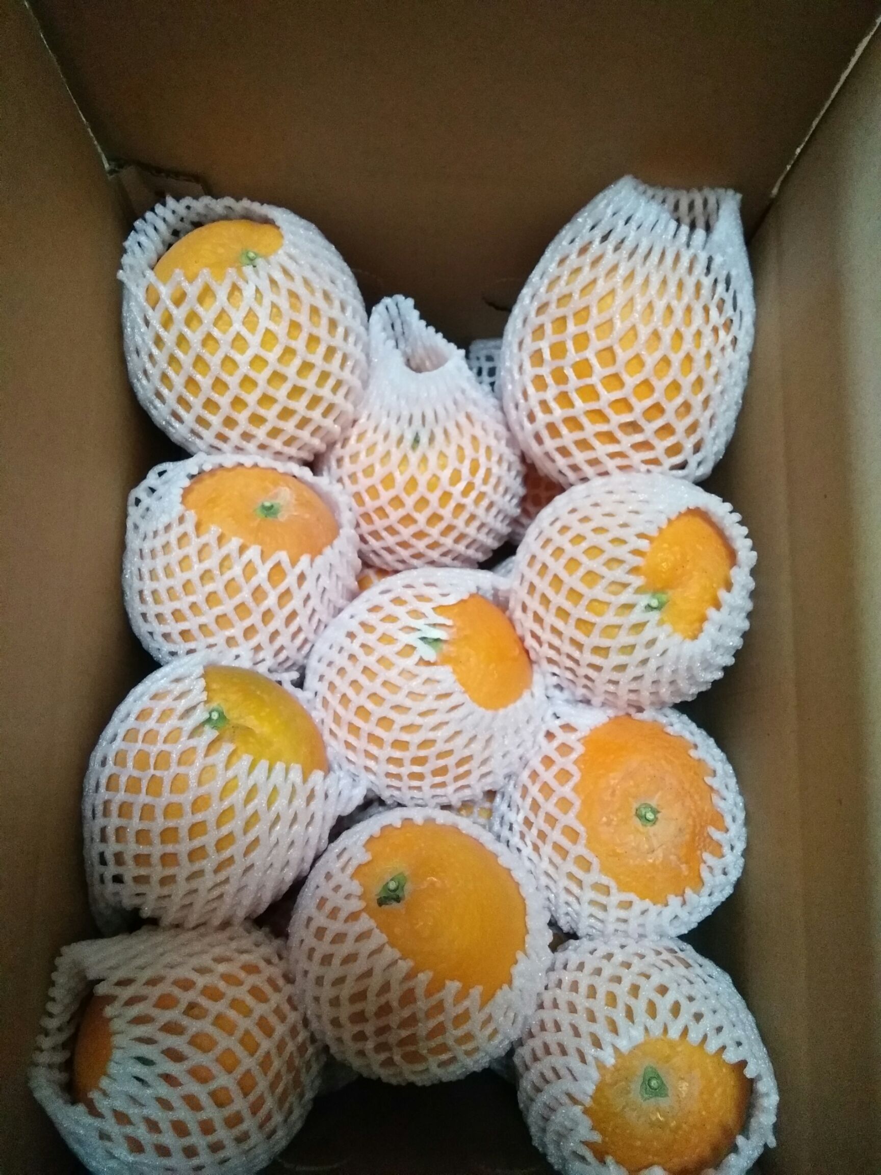 赣南脐橙精品果包上车现摘现发坏果包赔
