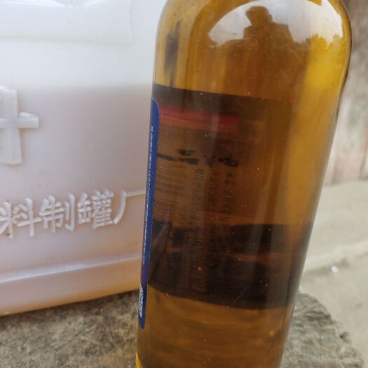藤县现榨山茶油 
