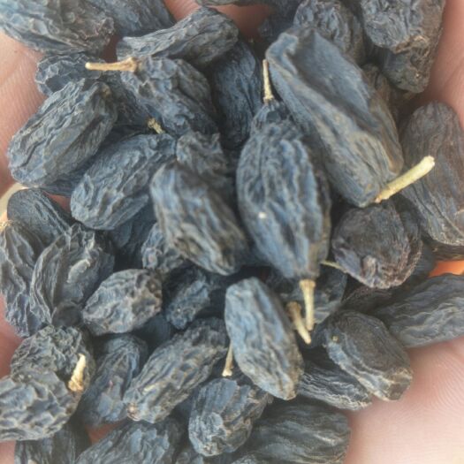 吐鲁番黑加仑葡萄干 一等 