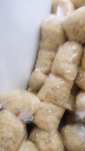 岳西县豆丝 
