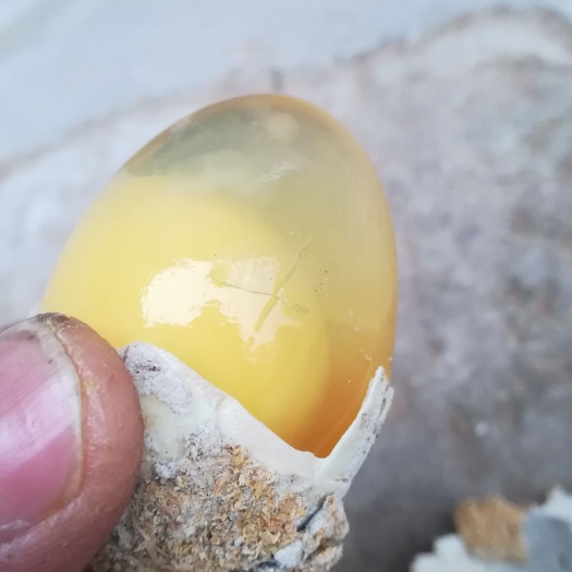三台县无铅皮蛋 