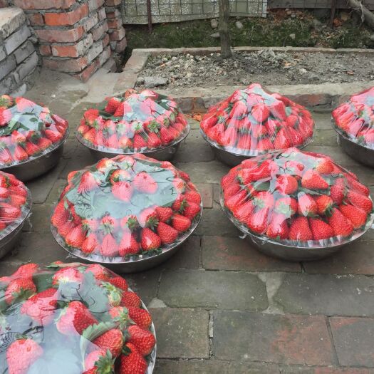 成都红颜巧克力草莓