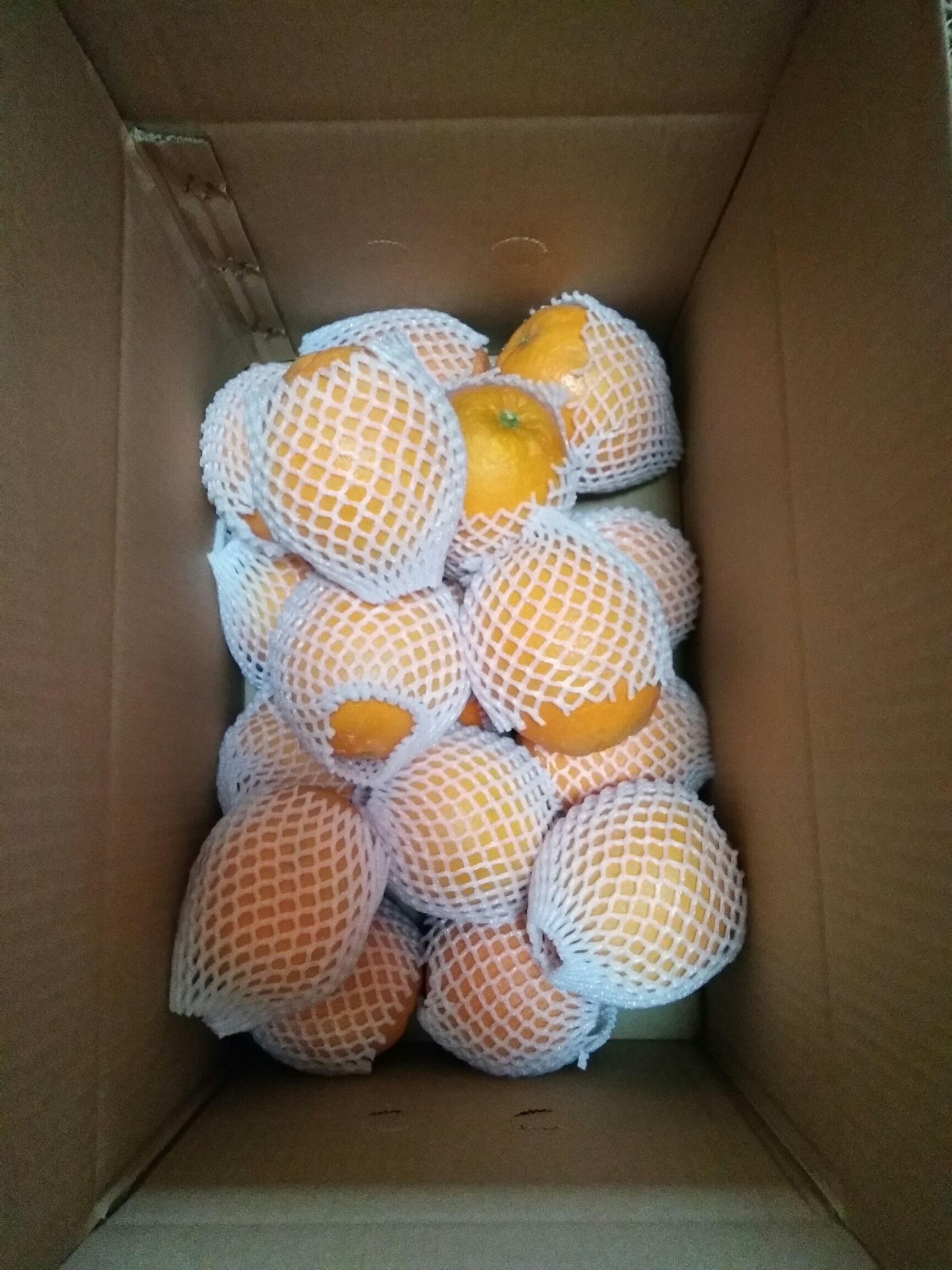 赣南脐橙精品果包上车现摘现发坏果包赔