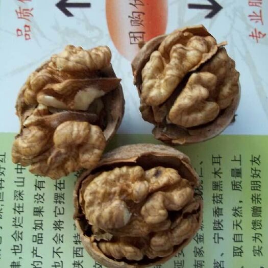 康县老树核桃 