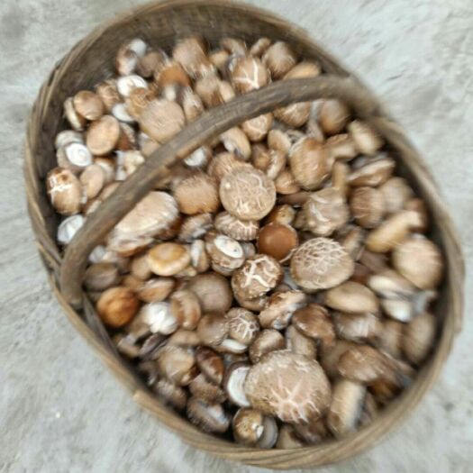 西峡县 西峡香菇  地理产品