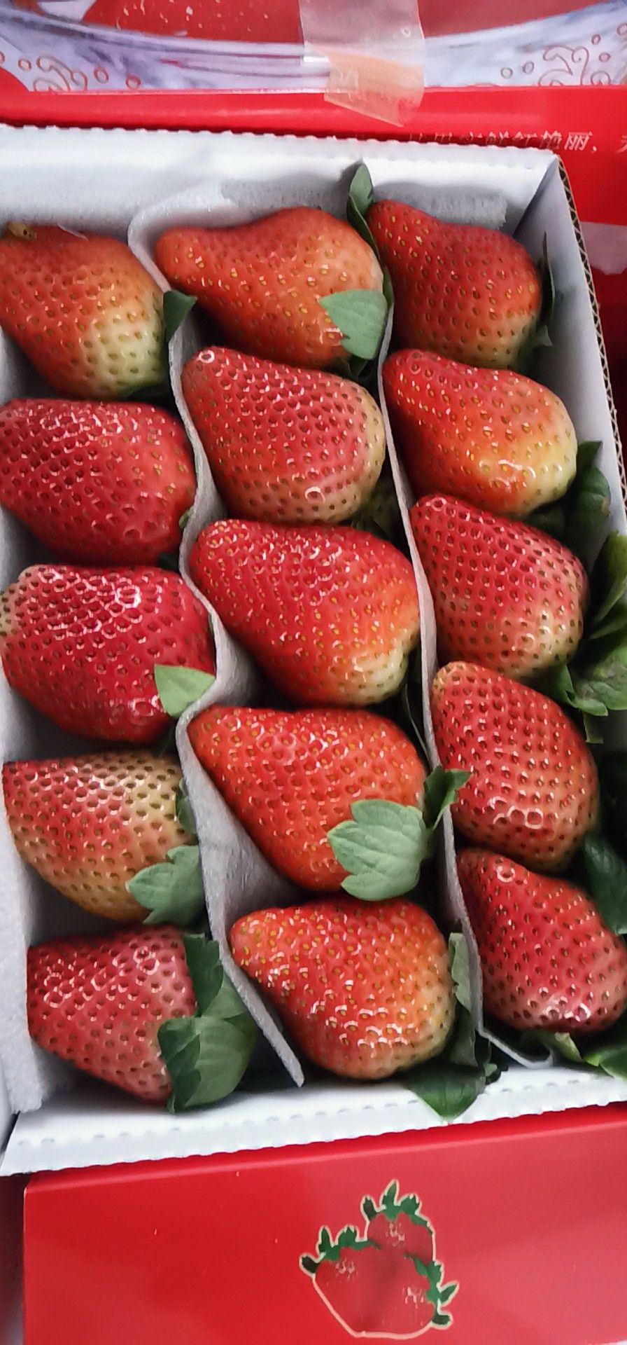 世界上最贵的草莓图片