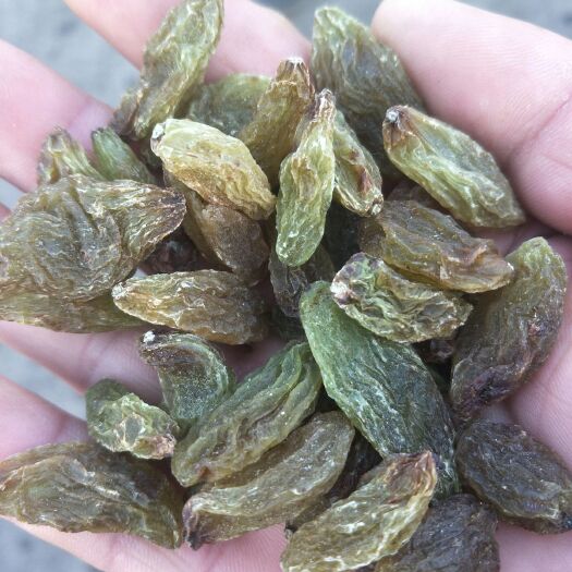 鄯善县绿香妃葡萄干 一等