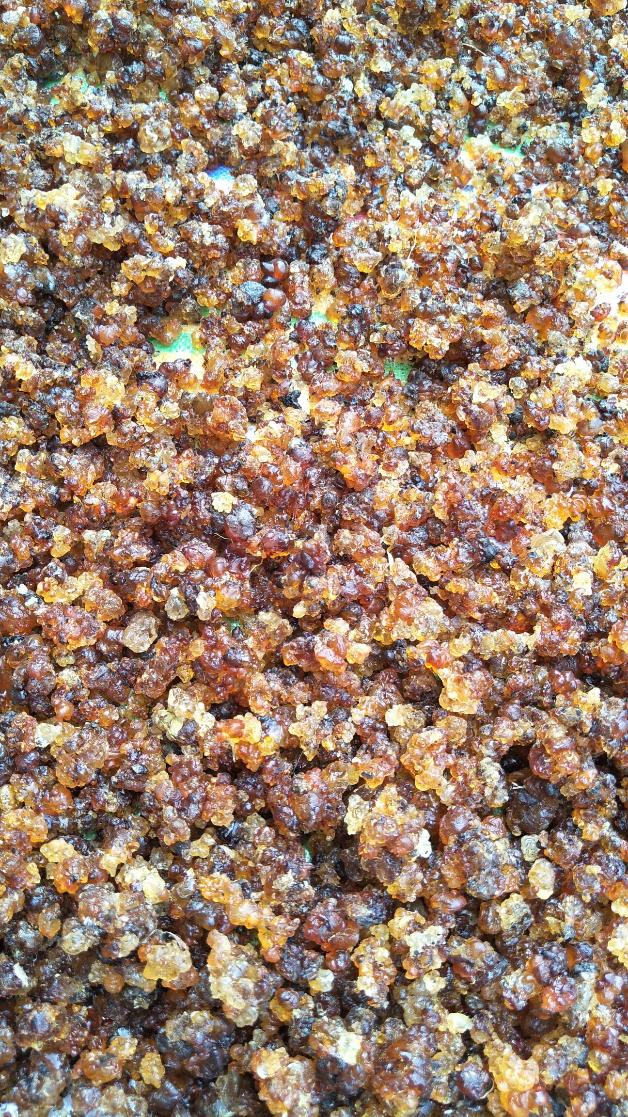 食用桃胶 24个月以上 