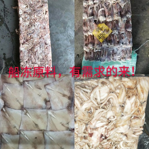 荣成市鱿鱼 