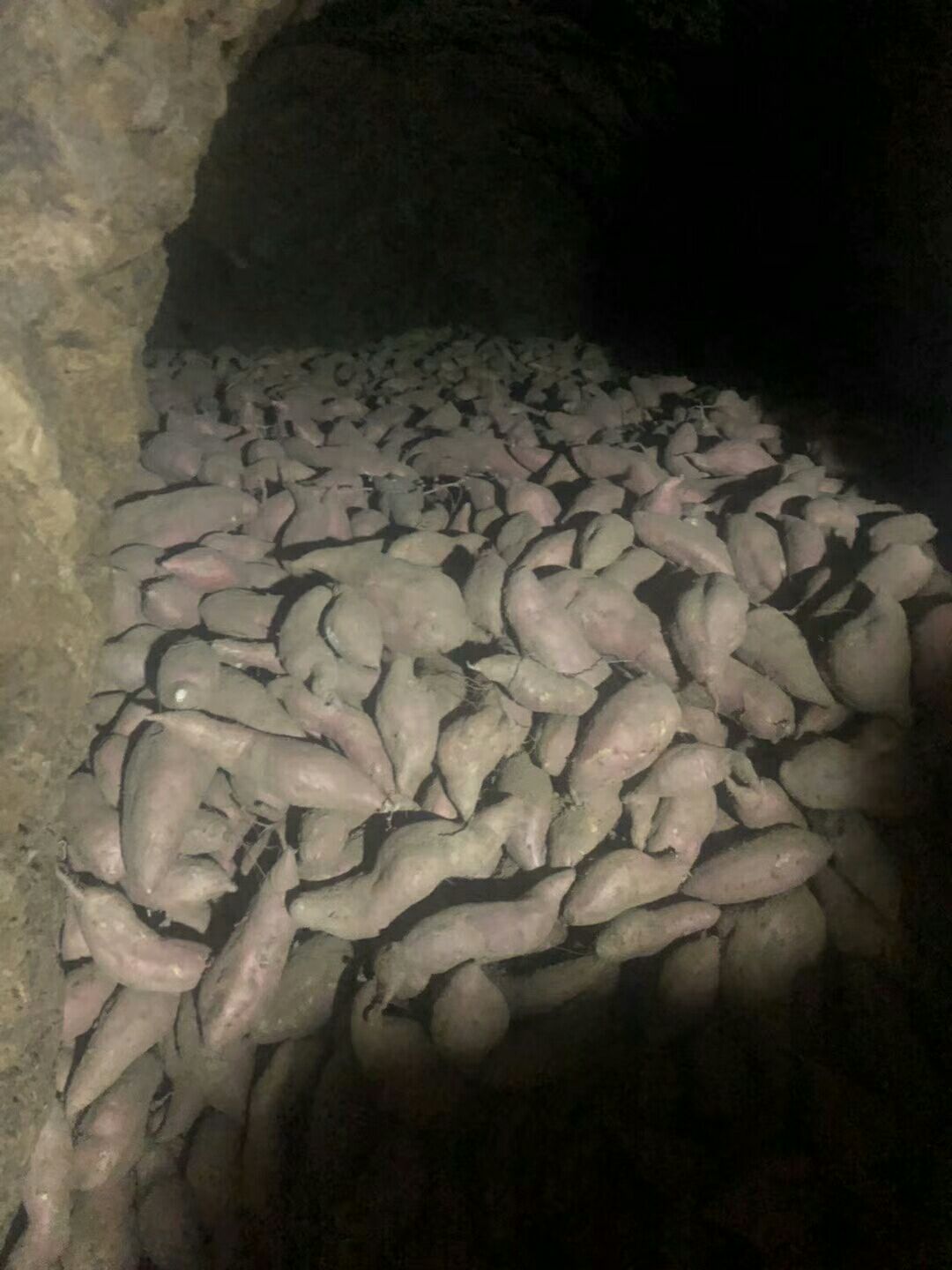 红香蕉红薯 3两 红皮 