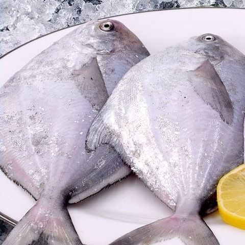 南昌县 银鲳鱼，海昌鱼，平鱼冷冻