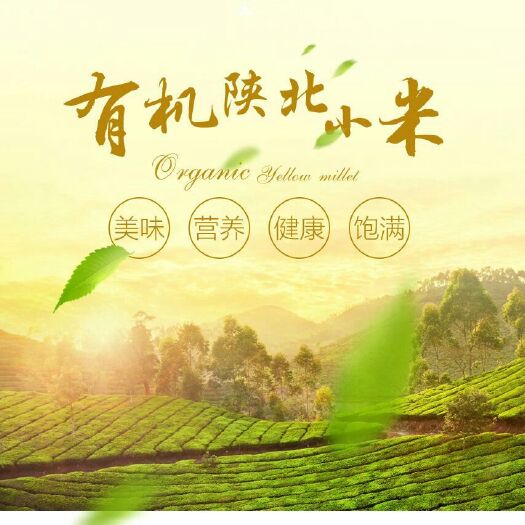 榆林糯黄米 一级 