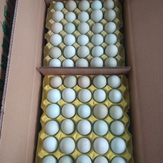 武汉绿壳鸡蛋 食用 箱装 
