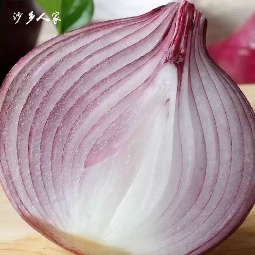 礼泉县紫皮洋葱 8~9cm 