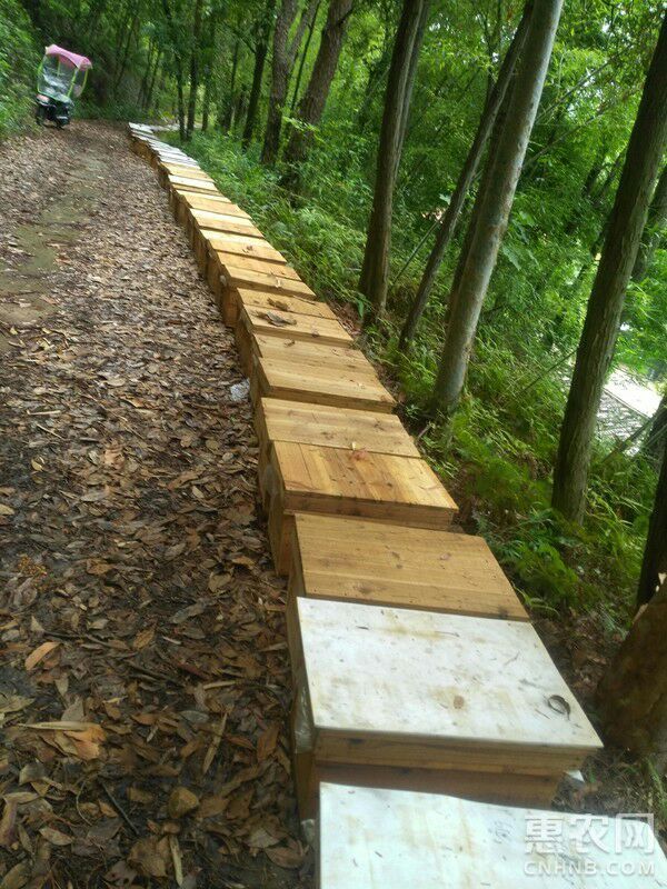 土蜂蜜 塑料瓶装 2年  