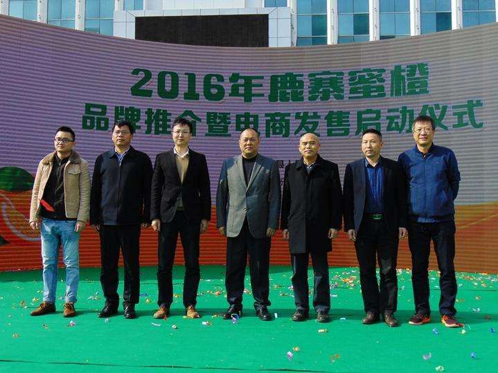 桂橙一号 60 - 65mm