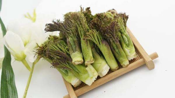 宽甸县刺老芽 散装 大棚 鲜货 