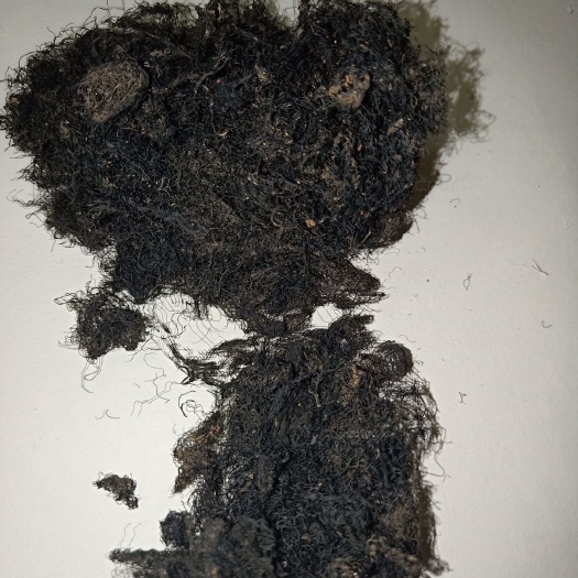 阿拉善左旗发菜 二级 