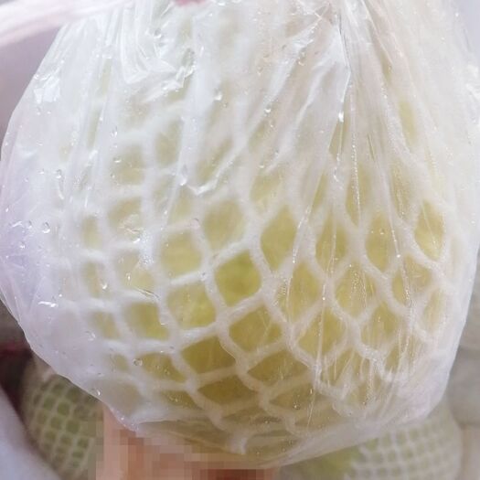 潮州白心番石榴 200-250克 