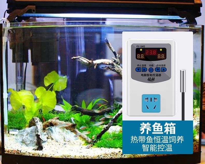 增温器  多用途温控仪自带插座