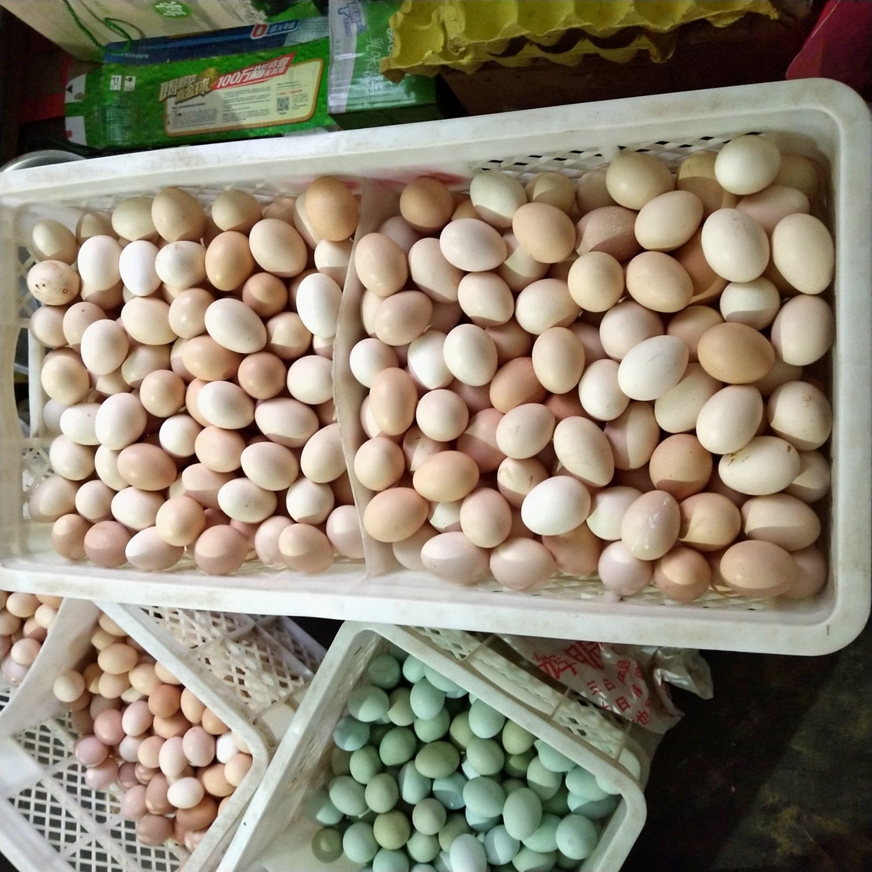 绿壳鸡蛋 食用 箱装 