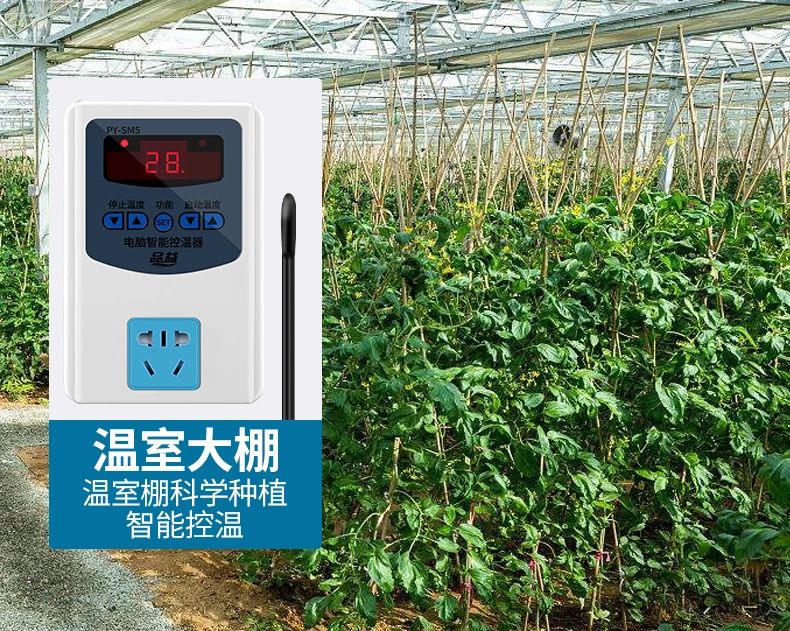 增温器  多用途温控仪自带插座