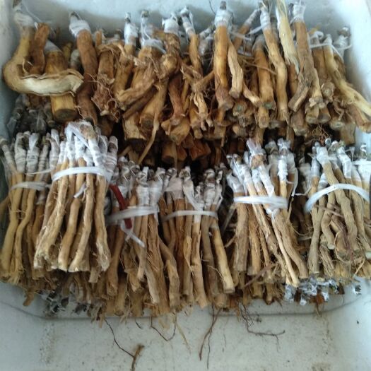 溆浦县山银花苗 10公分以下
