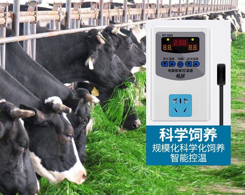 增温器  多用途温控仪自带插座