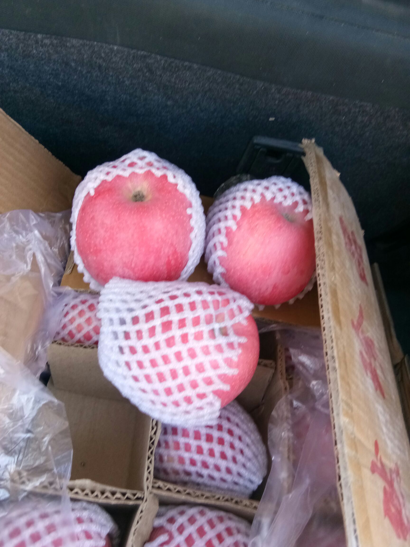 静宁苹果  70mm以上 条红 纸袋 香，甜，口感好