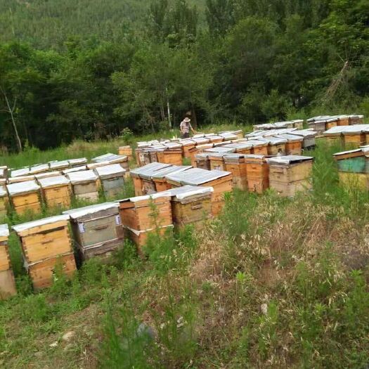 华容县蜂巢蜜 盒装 2年  
