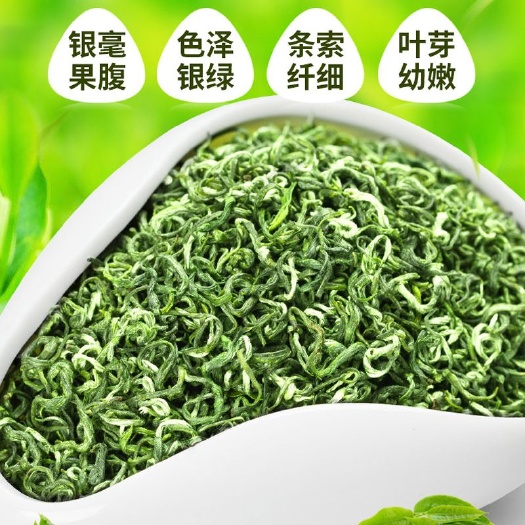 洞挺碧螺春茶一斤装包邮