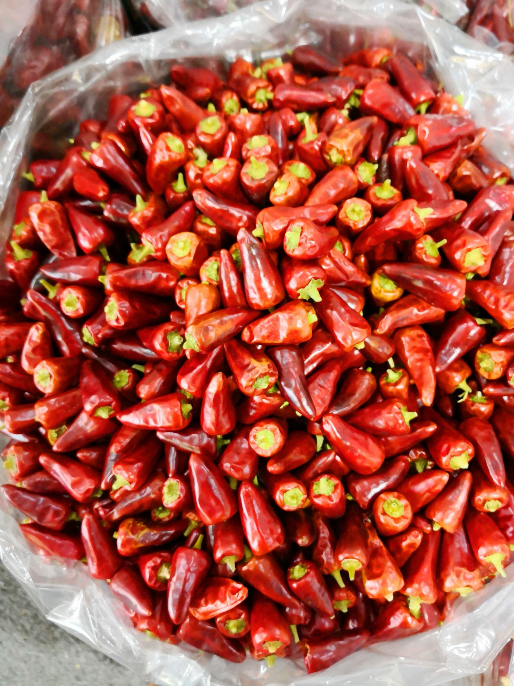 朝天椒 5cm以下 中辣 红色