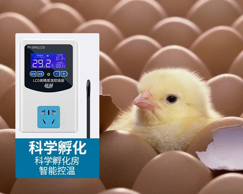 增温器  多用途温控仪自带插座