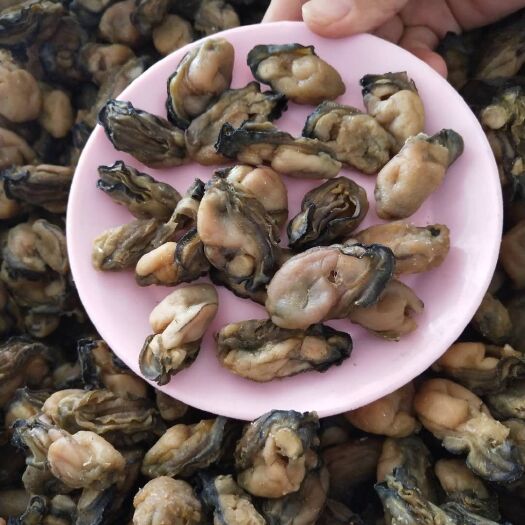 阳西县蚝干 
