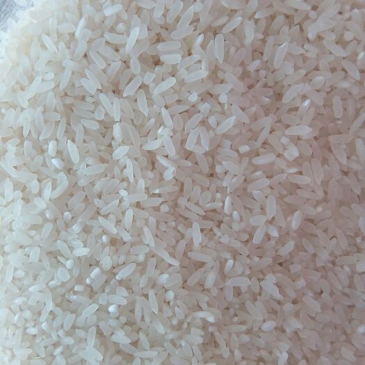 德惠市东北大米 一等品 晚稻 粳米 