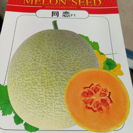 原阳县网恋 杂交种 ≥85% 