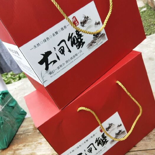 盐城大闸蟹2.5两母
